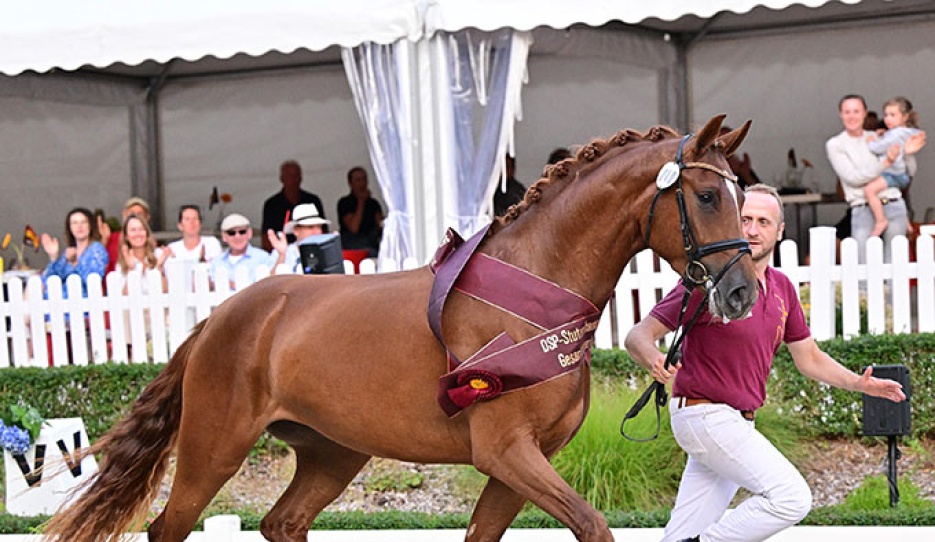 Fortuna (by For Romance x Don Diamond) :: Photo © Björn Schroeder