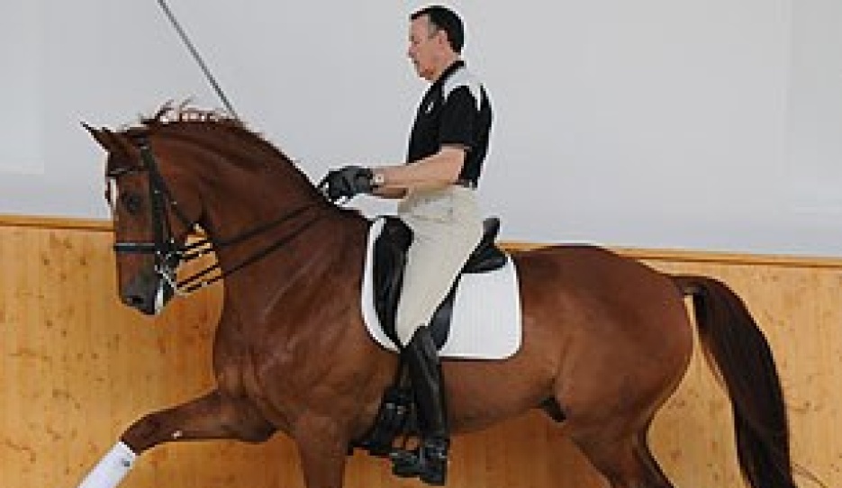 Alain Francois and Dinky Toy at their home yard in Saumur in 2013