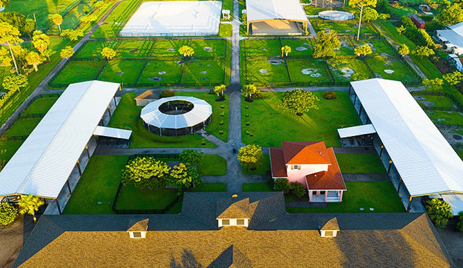 Poinciana Farm: an oasis of green and space, designed for horses