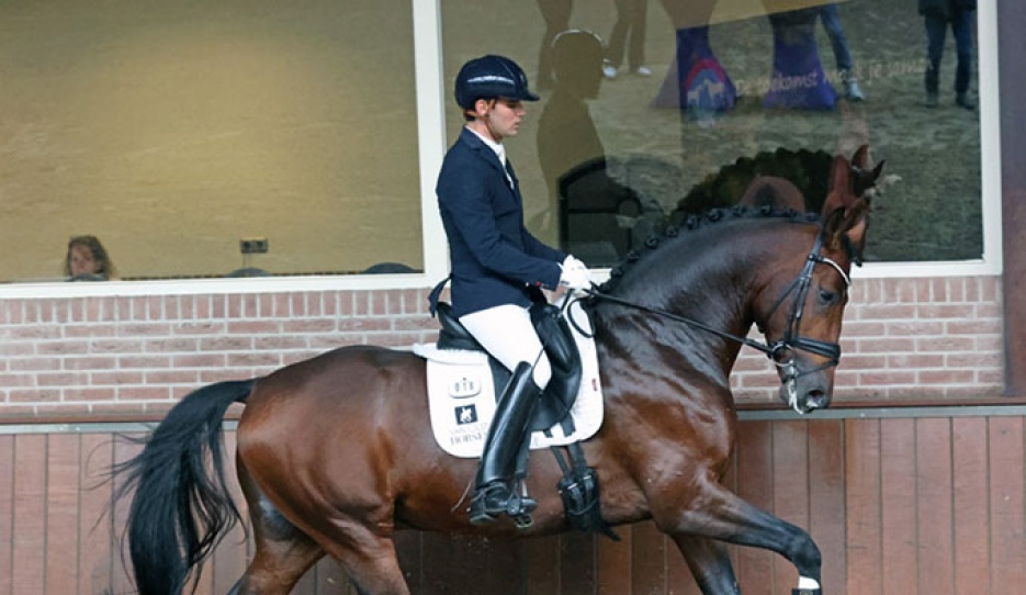 Bretagne VDL (by Be Sure x Secret x Totilas), bred by Emma Blundell at Mount St. John stud in the U.K.