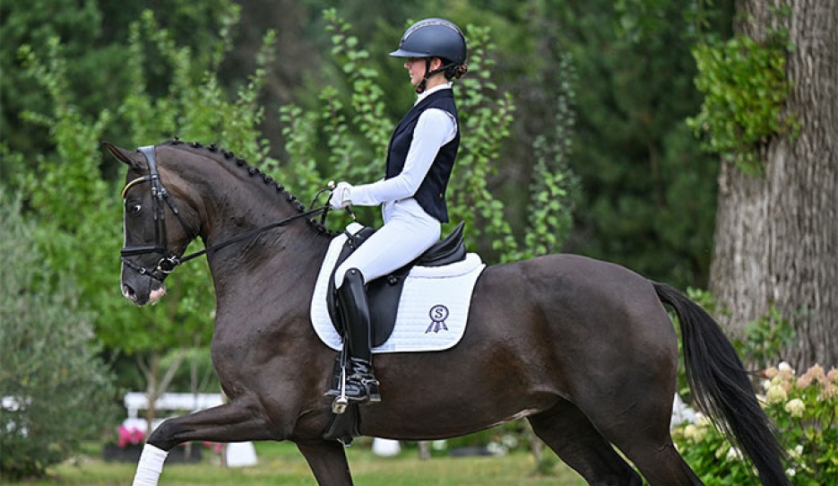 Bontasia PS (by Bonjour x Top Gear x Fürst Romancier) 