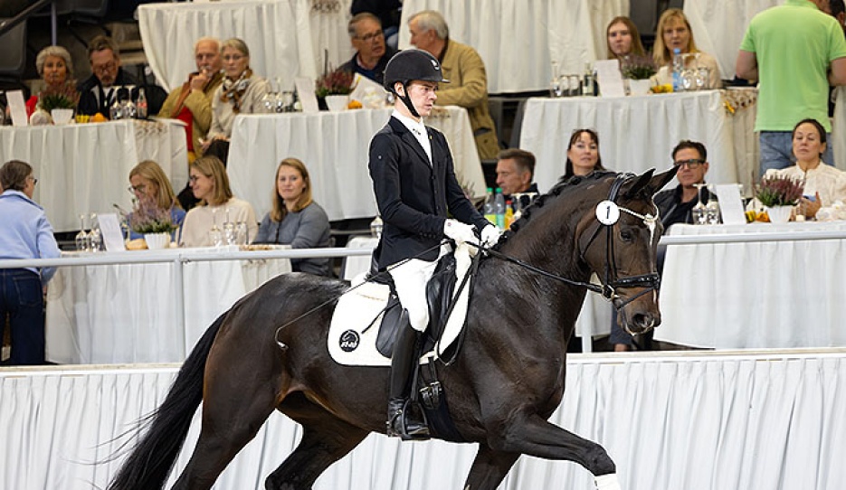 Escajana :: Photo © Hannoveraner Verband