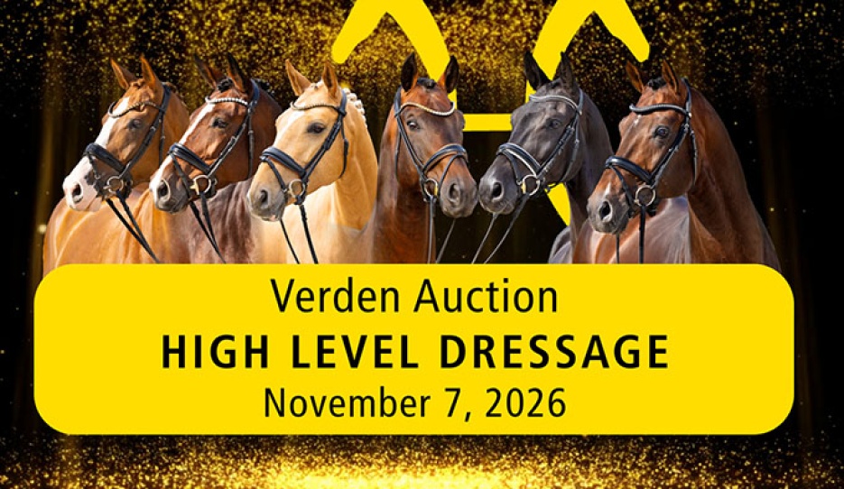 4th Verden "High Level" Dressage Horse Auction on 7 November 2026