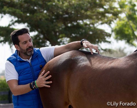 Equine physiotherapist Antonio Gonzalez