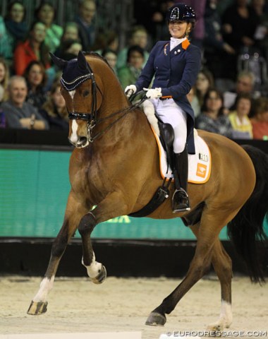 Her first world cup qualifier ever and her second CDI as a senior: Anne Meulendijks on Avanti. Very talented pair. The powerhouse bay could be a bit more electric on the aids, but shows high quality in every single movement! One to watch
