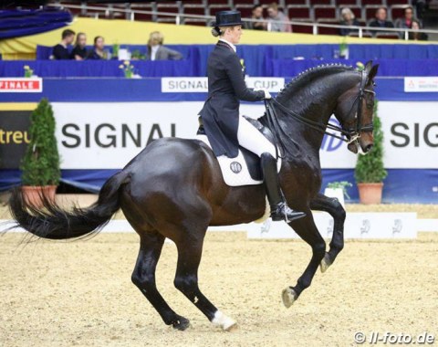 Bernadette Brune on Spirit of the Age OLD (by Stedinger) scored points with their very nice extended walk and pirouettes. The passage could have been a bit more engaged from behind and the piaffe with the hindlegs more under the body.
