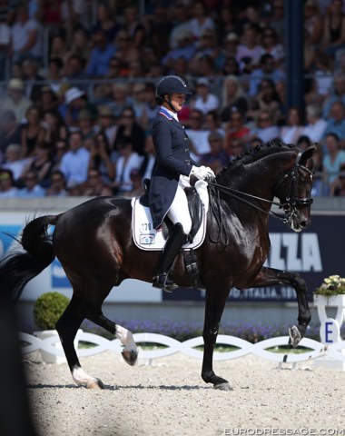 Adrienne Lyle's beautiful stallion Salvino is loved by the judges despite the shaky bridle contact and uneven passage. This pair needs more time to mature and surely will come on the same wavelength. 
