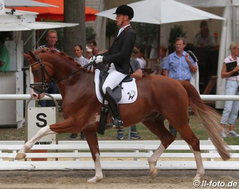 Isabell Werth's assistant trainer Niklaas Feilzer on Leo Lowenherz (by Licosto x Rockwell)