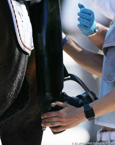 Sneaky groom wiping clean the spurs while the FEI steward at the tack check is not looking