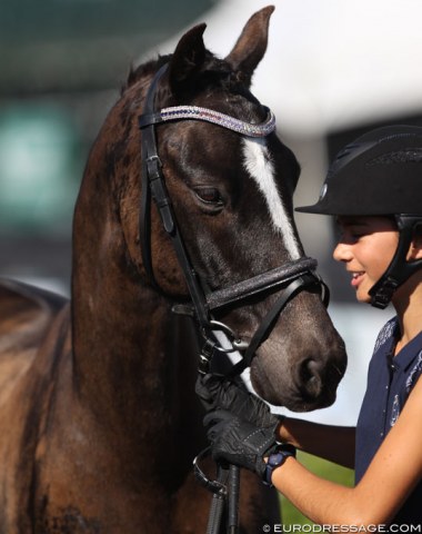 Photo Report: Horse Inspection at the 2019 CDI 5* Wellington