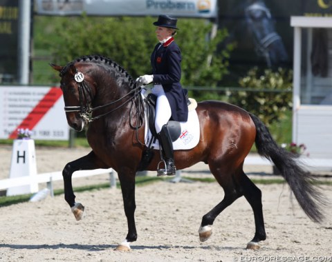 Vicky Thompson Winfield on the 14-year old Iberian bred Mango Jacaro (by Rondeo)