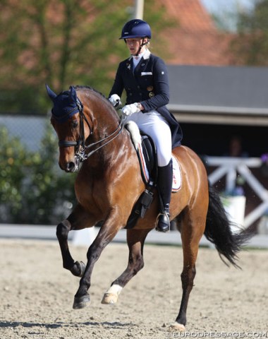 Jessica Krieg with new ride Rasputin W (by Rooney x Donnerhall). Previously owned by Lena Charlotte Walterscheidt and showed by Laura Stigler-Blackert, Rasputin W competed at the 2012 Bundeschampionate