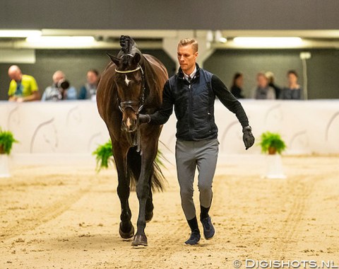 Daniel Bachmann Andersen and the 15-year old KWPN stallion Blue Hors Zack (by Rousseau x Jazz) were the shooting stars on the Western European League World Cup circuit this year