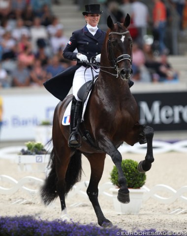An excited Sir Donnerhall II leaving the arena with Morgan Barbançon