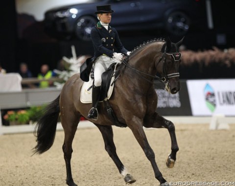 Maria Caetano on the 7-year old Portuguese Sport Horse bred Hit Plus (by Bretton Woods x Peralta Pinha)