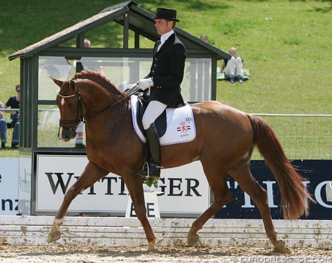 Scandic (by Solos Carex x Amiral) - Shown in Verden by Dutch Remy Bastings, went on to win kur bronze with Patrik Kittel at the 2011 European Dressage Championships in Rotterdam