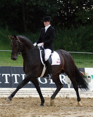 Florianus (by Florestan x Damenstolz) - Shown in Verden by Gillian Duke. Sold to the U.S.A and competed there at international GP level by Belinda Nairn and Catherine Malone