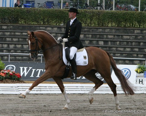 Fazzino (by Florestan x Rivellino xx) - Shown in Verden by German Arnd Erben, went on to become the Under 25 horse for Belgian Julie de Deken, who won the inaugural Under 25 classes at the 2010 CDIO Aachen