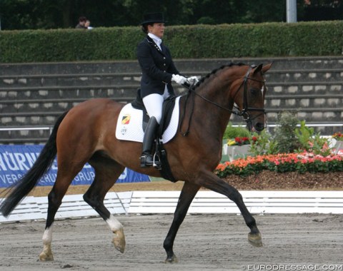 Daianira van de Helle (by Dream of Glory x Ritual) - Shown in Verden by Belgian Vicky Smits. She trained and competed the mare from young horse to international Grand Prix level. A legal battle and injury ended the career of both horse and rider. Smits has not competed at a CDI since Daianira