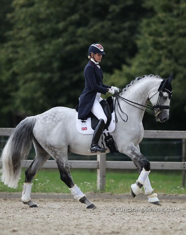Grey horses are just so photogenic...