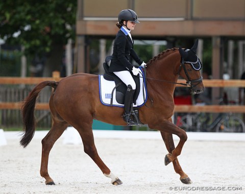 A well known face with a new rider: Flash (by Fidermark) has been competing at CDI's since 2012 (Angela Krooswijk, Charlotte Wensing) and is now the schoolmaster for Dutch based Greek rider Zoe-Petronella-Konstantina Roosen