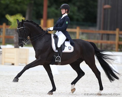 Nice riding from German pair Greta Simon and Sir Henry. Pity the horse underwhelms in walk
