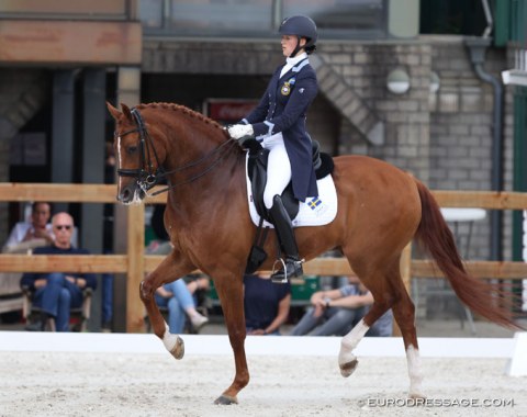 British based Swedish Nathalie Wahlund on Ian Winfield's 13-year old KWPN gelding Cerano Gold (by Serano Gold)