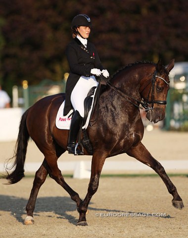 Danish Anna Kasprzak on the Portuguese cross bred Addict de Massa (by San Amour x Maestro JGB). The horse lacked bending overall and underwhelmed in passage, but the piaffe is a highlight. 70% from the Danish judge, 65.8% from the German judge.