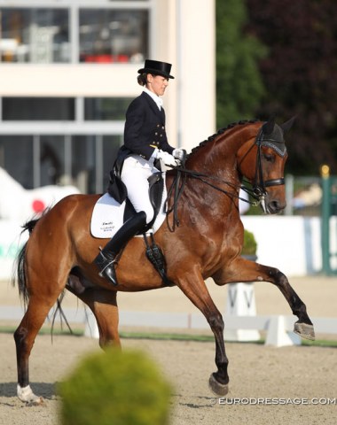 A pair to watch for the future: Petra van Esch on Fiji (by Florencio x Climax). The canter is very uphill and the horse has a nice silhouette in passage but needs more regularity, piaffe still insecure and tense. 
