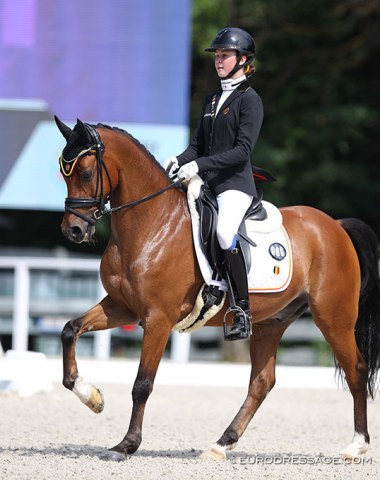 Another new Belgian duo: Ine Blommaert on Wise Guy. This pony competed at the Euros before, for Sweden. 