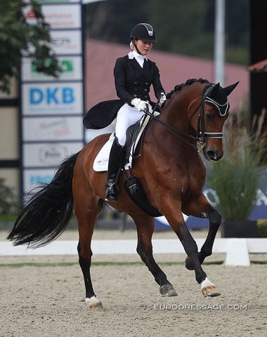 Felicitas Hendricks and Faible As (by Furst Piccolo x D'Accord). The German young rider received her Golden Rider Badge at the CDI Hagen for 10 S-level victories