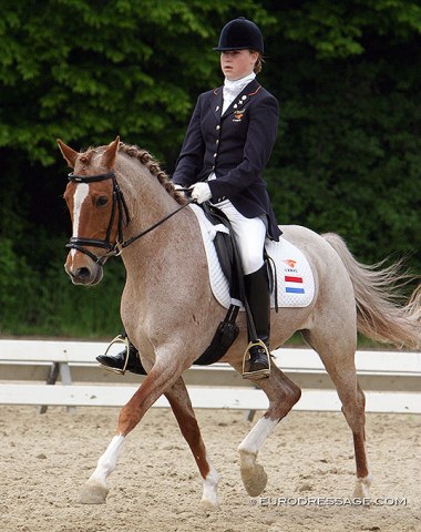 Robin Beekink (NED) on MilkshakeThis NRPS bred red roan went on to compete under two more riders: Maria van den Dungen (NED) and Charlotte Defalque (BEL). He competed at three European Pony Championships
