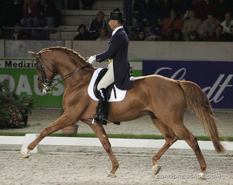 Jonny Hilberath (GER) on WencksternThis Hanoverian by Weltmeyer x Western Star represented South Africa at the 2006 World Equestrian Games under Nathalie Hobday. After WEG Jonny Hilberath competed him again, followed by Hong Kong's Jacqueline Siu