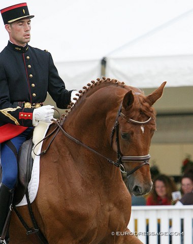French Bertrand Lebarbier on Welfenrat (by Wolkentanz x Grafenfels) at the 2005 WCYH. The horse went on to briefly compete at national GP level. Lebarbier hasn't been seen in the CDI ring since 2013.