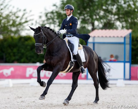 Juan Matute Guimon on the 18-year old Don Diego. The Hanoverian is now competing in his 10-th year at international level with Matute, from Juniors to Grand Prix