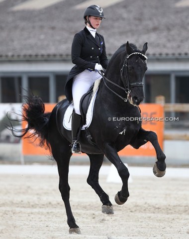 Russian Marina Aframeeva brought two talented Friesians to Grote Brogel. This is Marcus. His original name is Marcus in 't Rietveld (by Beart 411 x Gaije). The horse is previously trained by Tatiana Ushakova and Olga Kovyrsina