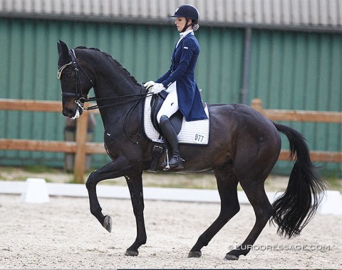 Sharon Lubkemann made her international show debut straight away at Grand Prix level with Bernardeau (by Uptown x Bustron). The rather tense and thoroughbred looking KWPN gelding has amazing rhythm in piaffe