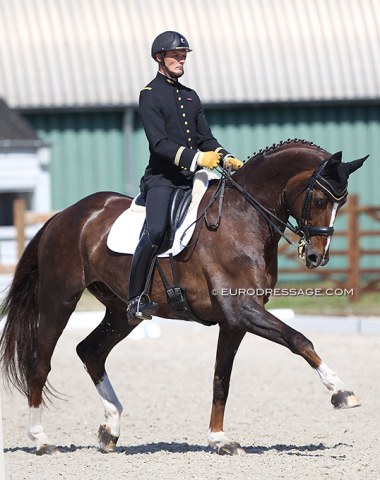 Cadre Noir rider Guillaume Lundy on the 14-year old Hanoverian gelding Tempo (by Brentano II x Donnerwetter)