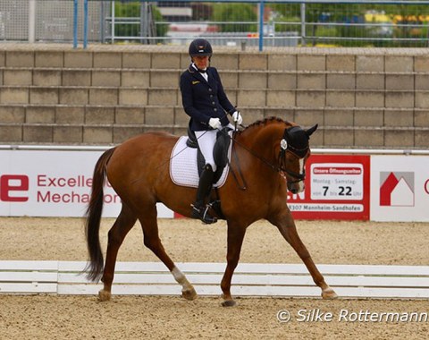 German Julia Schmidt and the Trakehner gelding Rosso Wrt (by Connery-Anduc) during their ride in Grade III.