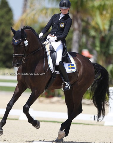 Swedish Blanca Bosson on the 14-year old KWPN gelding Cardon M (by Lord Leatherdale x Sandro Hit)