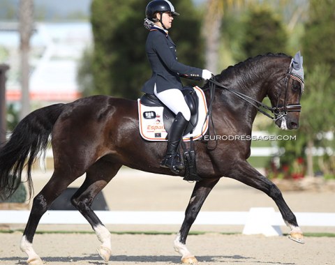 Marina Caballero Lopez on the former international Grand Prix mare Volstrupgaards Cassiopeia (by Come Back II x. Caletto III)