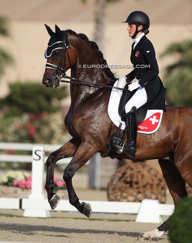Swiss Laura Grunder just could not get her 10-year old Hanoverian Rapace (by Romanov x Sandro Hit) to settle down in Oliva Nova. The bay gelding was just terrified in the competition arena despite Laura's best efforts