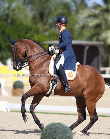 Marten Luiten and Fynona in a half pirouette. In the team test he even scored a 10 for it