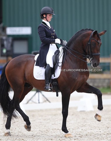 Judy Reynolds on her new Grand Prix ride Mango Jacaro, previously shown by Linda Swande and Vicky Thompson-Winfield