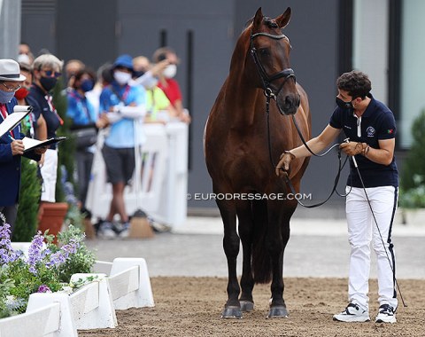 Joao Torrao holds Equador MVL and looks at the judges if he can proceed in walk