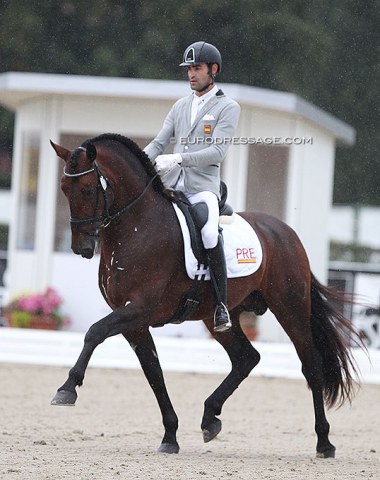 Alejandro Sanchez del Barco on the PRE stallion Quadrugo Nadales V (by Grandioso VII x Karacol Azores)