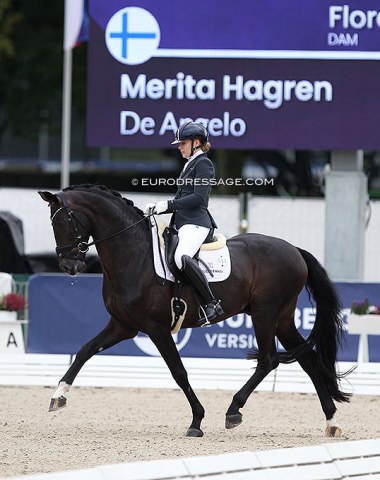 Finnish Merita Hagren on the Oldenburg stallion De Angelo (by Don Schufro x Stedinger). Sweet horse but the very strong contact and tight noseband did not help the overall picture of harmony