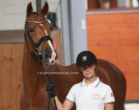 Mette Sejbjerg Jensen with Nobelle (by Negro x Blue Hors Future Cup)