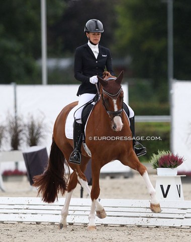 French Jessica Michel-Botton on Xavier Marie's Oldenburg stallion Djembe de Hus (by Damon Hill x Argentinus). The horse had some issues with the changes today and was not enough in front of the rider's leg. Pity as he's a lovely horse for the future