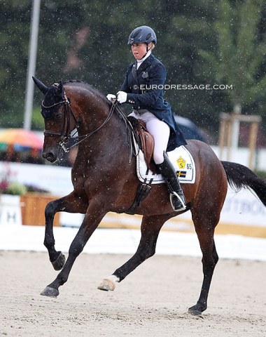 Finnish Yvonne Osterholm on the licensed Swedish warmblood stallion Demand (by Ampere x Don Schufro)